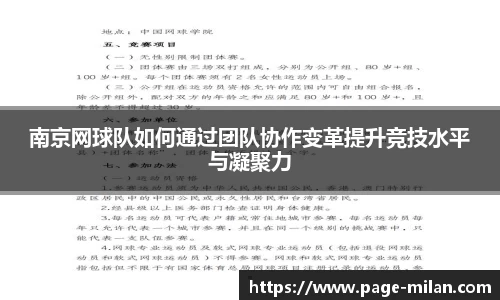 南京网球队如何通过团队协作变革提升竞技水平与凝聚力